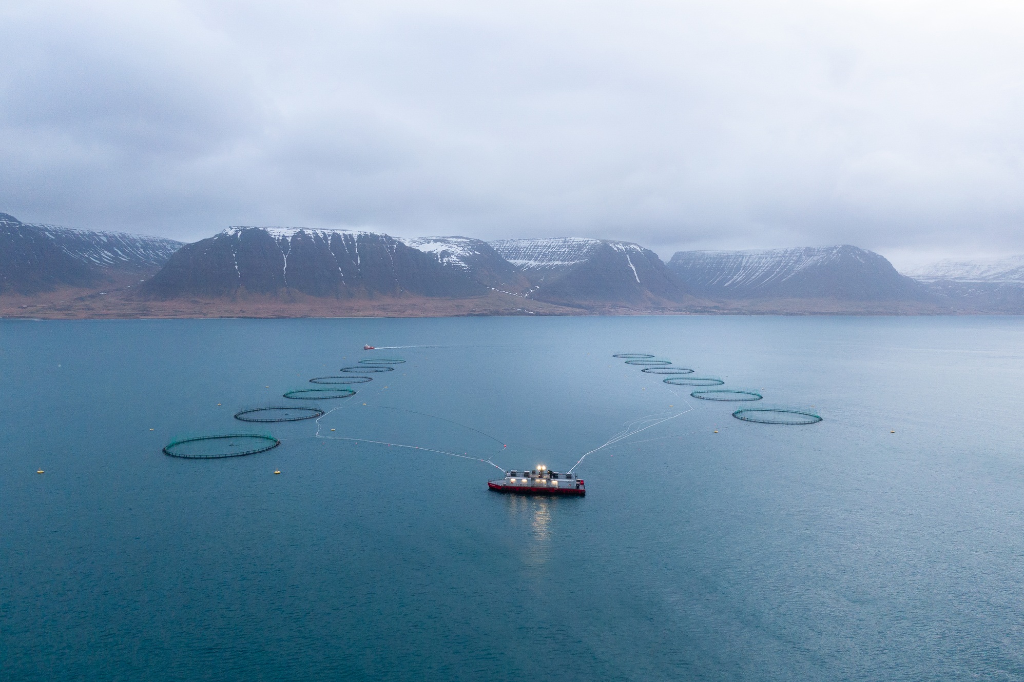 Arctic Fish upgrades fish farming systems with new cages